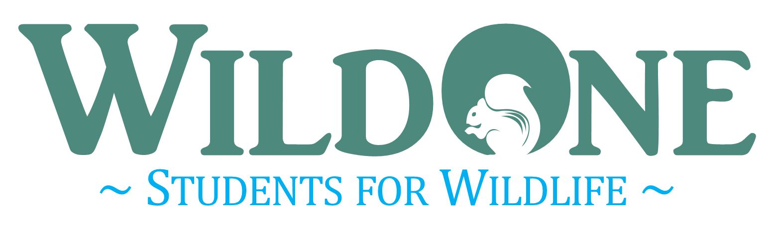 WildOne: Students for Wildlife series